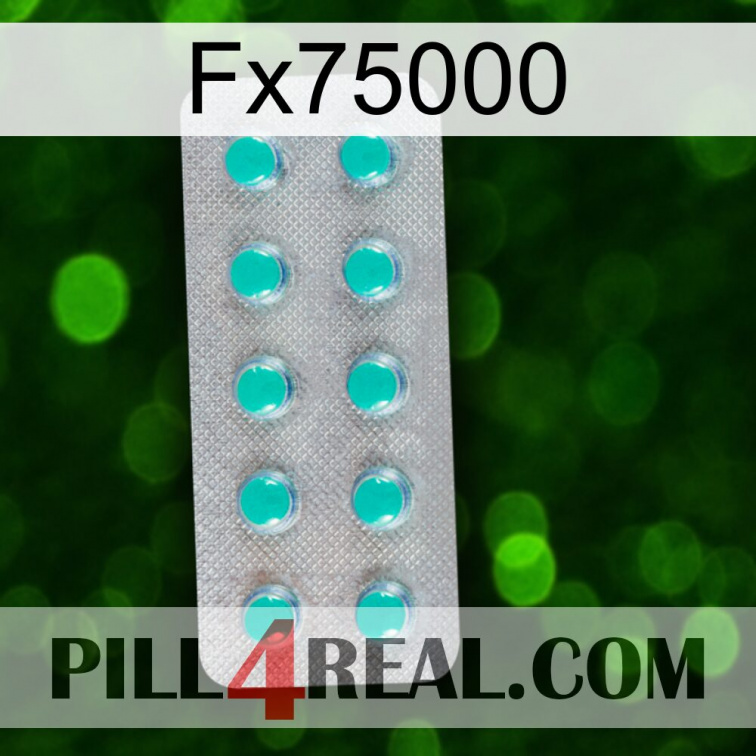 Fx75000 28